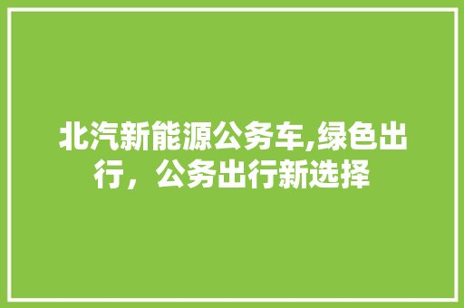 北汽新能源公务车,绿色出行，公务出行新选择