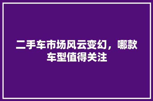 二手车市场风云变幻，哪款车型值得关注