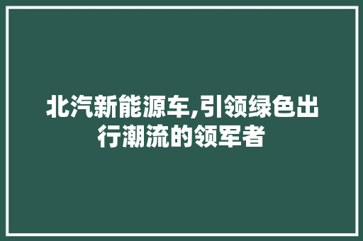 北汽新能源车,引领绿色出行潮流的领军者