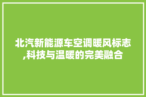 北汽新能源车空调暖风标志,科技与温暖的完美融合
