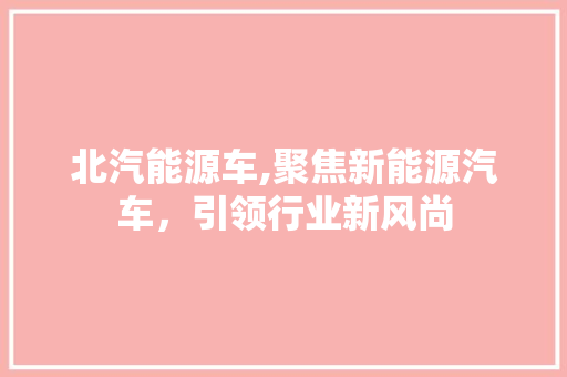 北汽能源车,聚焦新能源汽车，引领行业新风尚