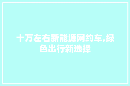 十万左右新能源网约车,绿色出行新选择