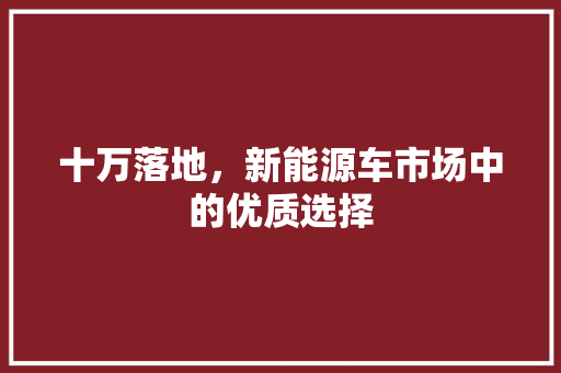 十万落地，新能源车市场中的优质选择