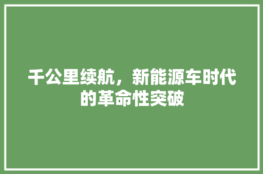 千公里续航，新能源车时代的革命性突破
