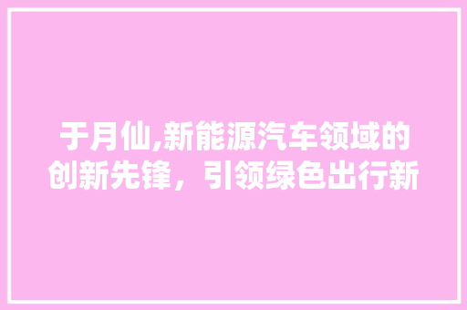 于月仙,新能源汽车领域的创新先锋，引领绿色出行新时代
