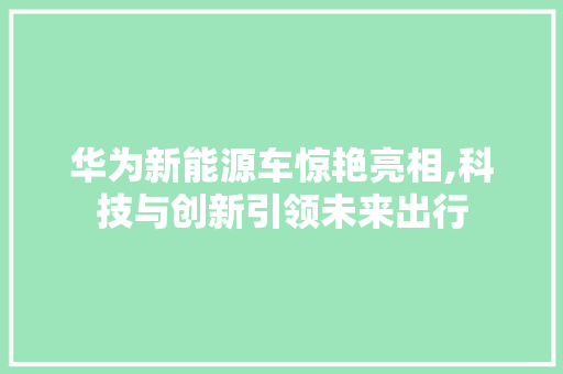 华为新能源车惊艳亮相,科技与创新引领未来出行