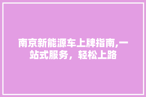 南京新能源车上牌指南,一站式服务，轻松上路