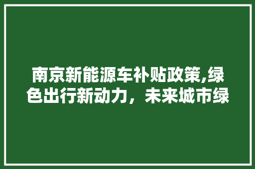 南京新能源车补贴政策,绿色出行新动力，未来城市绿色蓝图