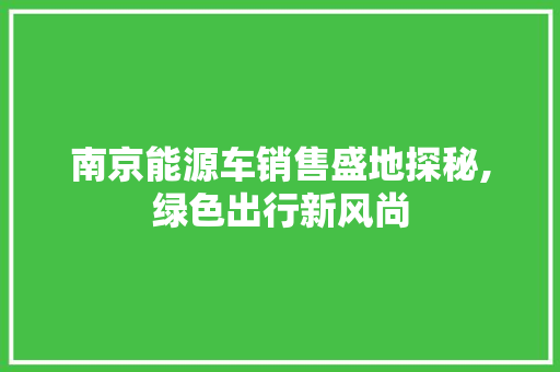 南京能源车销售盛地探秘,绿色出行新风尚