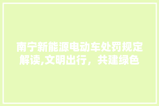 南宁新能源电动车处罚规定解读,文明出行，共建绿色家园