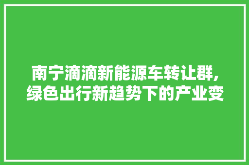 南宁滴滴新能源车转让群,绿色出行新趋势下的产业变革与机遇