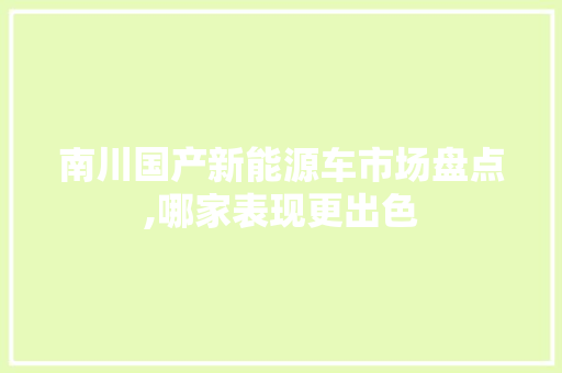 南川国产新能源车市场盘点,哪家表现更出色