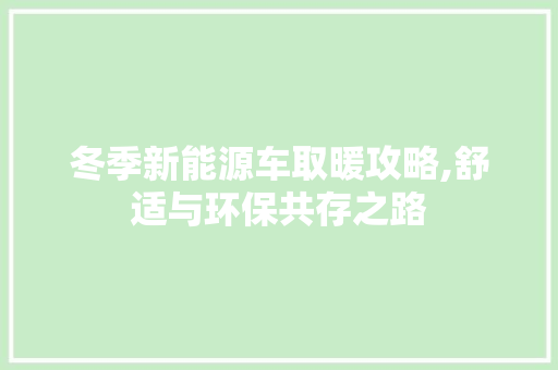 冬季新能源车取暖攻略,舒适与环保共存之路