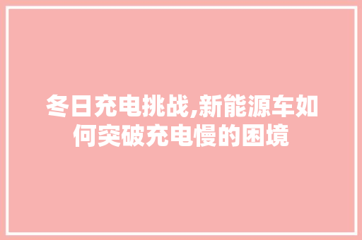 冬日充电挑战,新能源车如何突破充电慢的困境