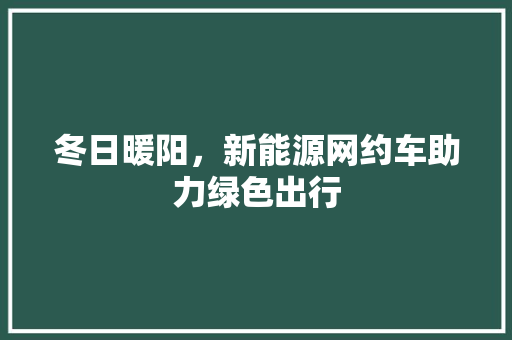 冬日暖阳，新能源网约车助力绿色出行 新能源汽车
