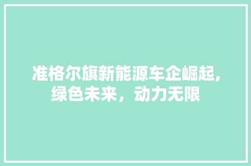 准格尔旗新能源车企崛起,绿色未来，动力无限