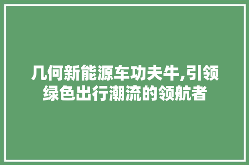 几何新能源车功夫牛,引领绿色出行潮流的领航者