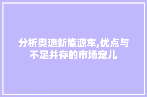 分析奥迪新能源车,优点与不足并存的市场宠儿
