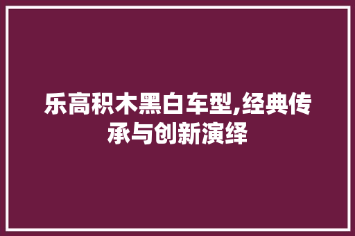 乐高积木黑白车型,经典传承与创新演绎