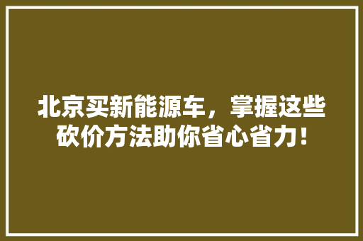 北京买新能源车，掌握这些砍价方法助你省心省力！