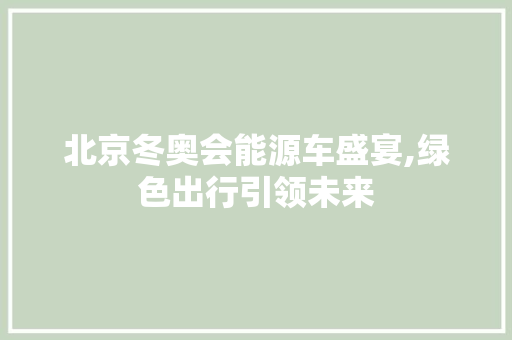 北京冬奥会能源车盛宴,绿色出行引领未来