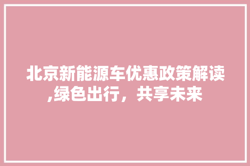 北京新能源车优惠政策解读,绿色出行，共享未来