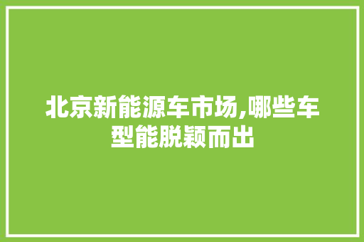 北京新能源车市场,哪些车型能脱颖而出