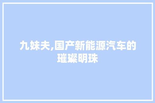 九妹夫,国产新能源汽车的璀璨明珠