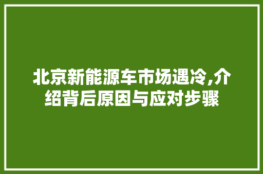 北京新能源车市场遇冷,介绍背后原因与应对步骤