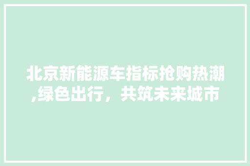 北京新能源车指标抢购热潮,绿色出行，共筑未来城市梦