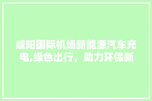 咸阳国际机场新能源汽车充电,绿色出行，助力环保新时代