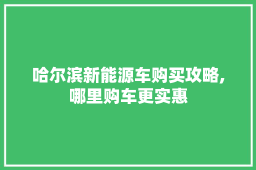 哈尔滨新能源车购买攻略,哪里购车更实惠