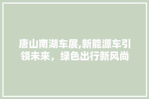 唐山南湖车展,新能源车引领未来，绿色出行新风尚
