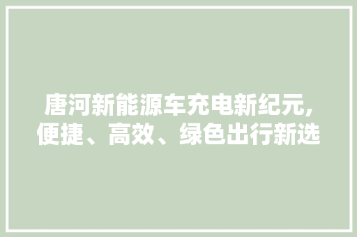 唐河新能源车充电新纪元,便捷、高效、绿色出行新选择