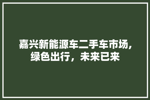 嘉兴新能源车二手车市场,绿色出行，未来已来