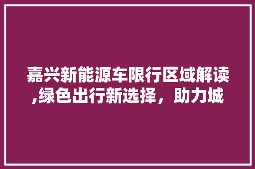 嘉兴新能源车限行区域解读,绿色出行新选择，助力城市可持续发展