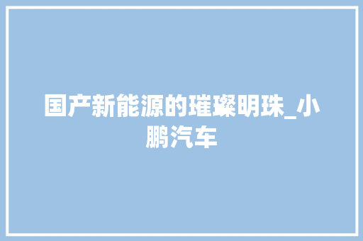 国产新能源的璀璨明珠_小鹏汽车
