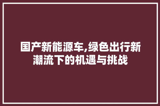 国产新能源车,绿色出行新潮流下的机遇与挑战