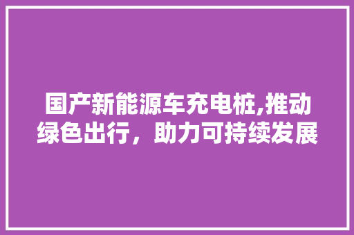 国产新能源车充电桩,推动绿色出行，助力可持续发展