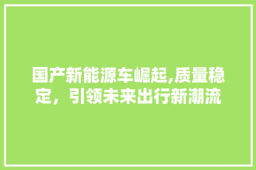 国产新能源车崛起,质量稳定，引领未来出行新潮流