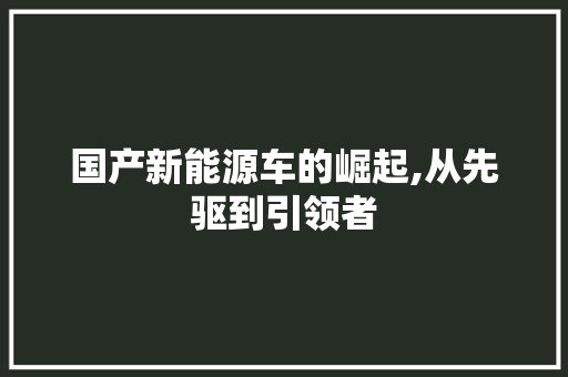 国产新能源车的崛起,从先驱到引领者