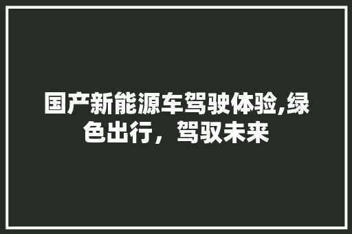 国产新能源车驾驶体验,绿色出行，驾驭未来