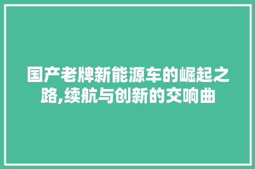 国产老牌新能源车的崛起之路,续航与创新的交响曲