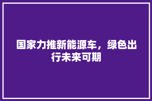 国家力推新能源车，绿色出行未来可期