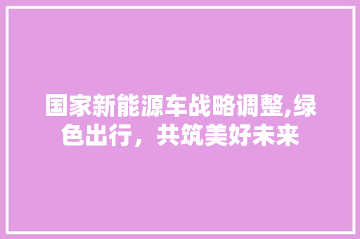 国家新能源车战略调整,绿色出行，共筑美好未来