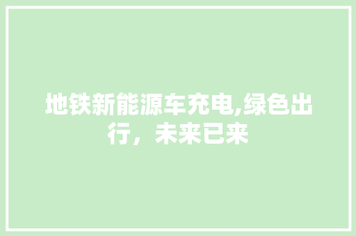 地铁新能源车充电,绿色出行，未来已来
