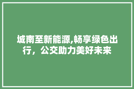 城南至新能源,畅享绿色出行，公交助力美好未来