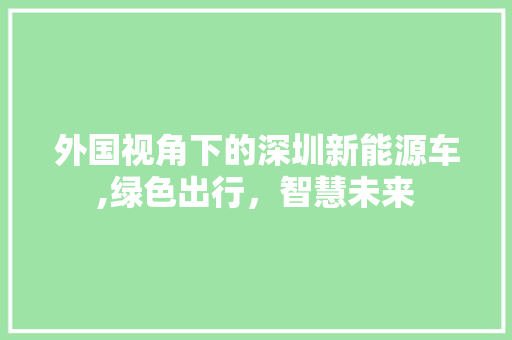 外国视角下的深圳新能源车,绿色出行，智慧未来