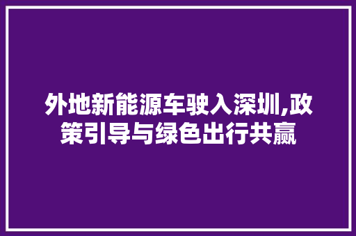 外地新能源车驶入深圳,政策引导与绿色出行共赢 车型评测