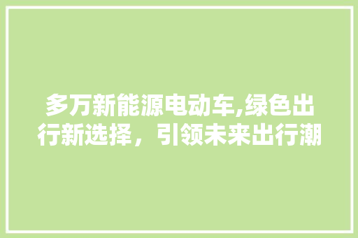 多万新能源电动车,绿色出行新选择，引领未来出行潮流